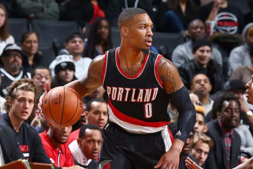 的领域里追 的领域里追