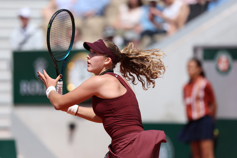 不顺是其主 不顺是其主